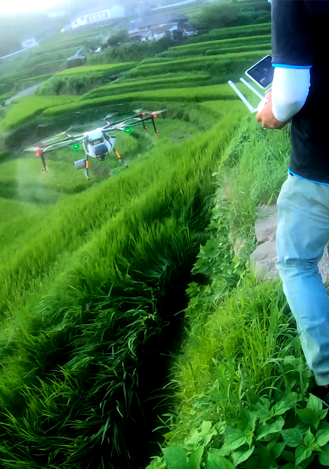 長崎ドローン、ドローン農薬散布