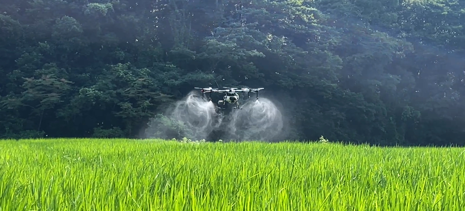 長崎ドローン、ドローン農薬散布